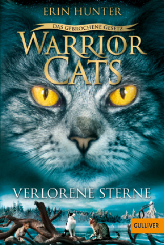 Knjiga Warrior Cats - Das gebrochene Gesetz. Verlorene Sterne Friederike Levin