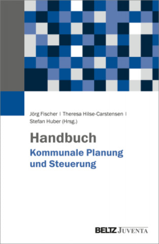 Knjiga Handbuch Kommunale Planung und Steuerung Theresa Hilse-Carstensen