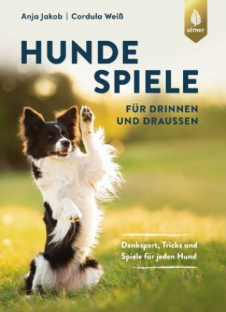 Buch Hundespiele für drinnen und draußen Cordula Weiß