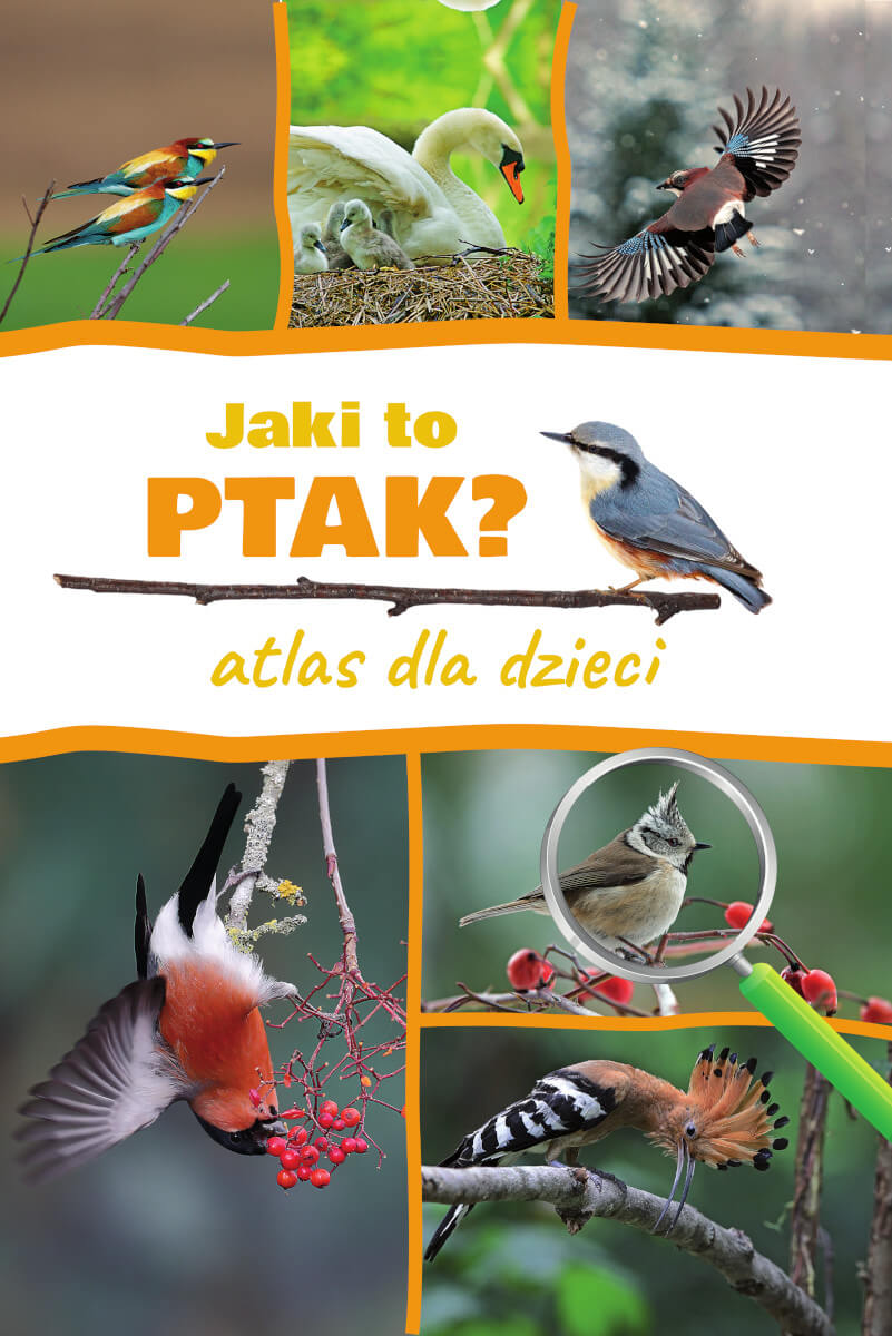 Kniha Jaki to ptak? Atlas dla dzieci Dominik Marchowski