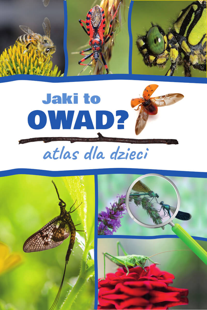 Kniha Jaki to owad? Atlas dla dzieci Kamila Twardowska