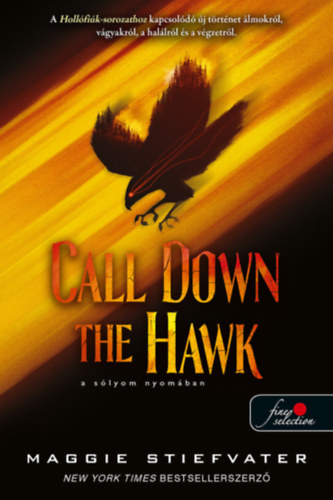 Buch Call Down the Hawk - A sólyom nyomában Maggie Stiefvater