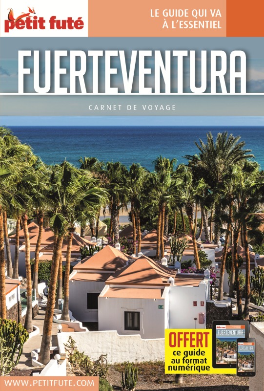 Kniha Guide Fuerteventura 2022 Carnet Petit Futé Auzias d. / labourdette j. & alter