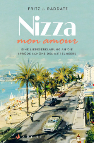 Kniha Nizza - mon amour 