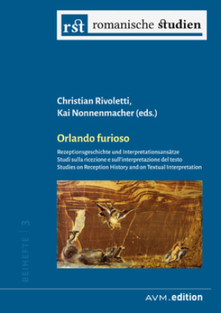 Boek Orlando furioso Kai Nonnenmacher