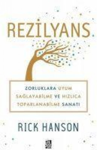 Βιβλίο Rezilyans 