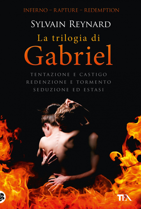 Book trilogia di Gabriel: Tentazione e castigo-Redenzione e tormento-Seduzione ed estasi Sylvain Reynard