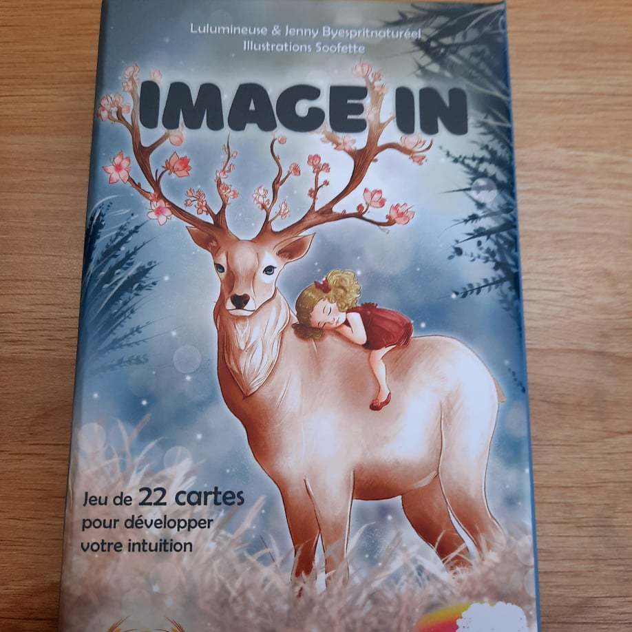Hra/Hračka Jeu Image'In Houssin