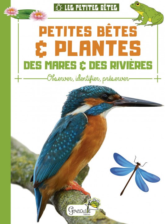 Kniha Petites bêtes et plantes des mares et rivières Delvaille