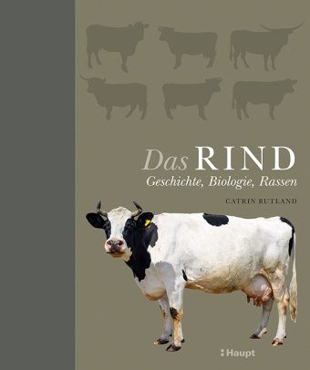 Knjiga Das Rind Catrin Rutland