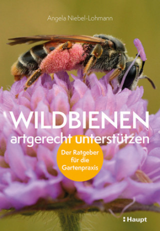 Carte Wildbienen artgerecht unterstützen 