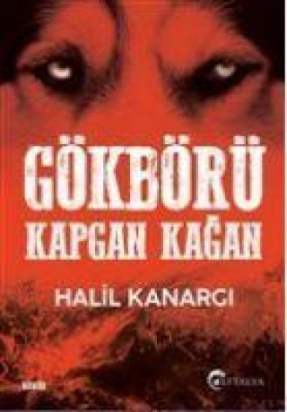 Book Gökbörü Kapgan Kagan 