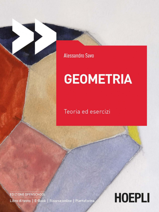 Kniha Geometria. Teoria ed esercizi Alessandro Savo
