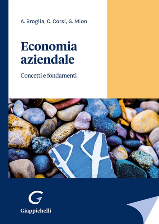 Kniha Economia aziendale. Concetti e fondamenti Angela Broglia