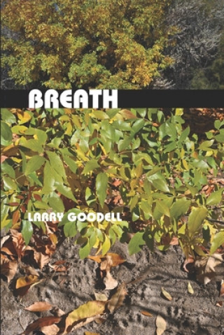 Knjiga Breath Larry Goodell