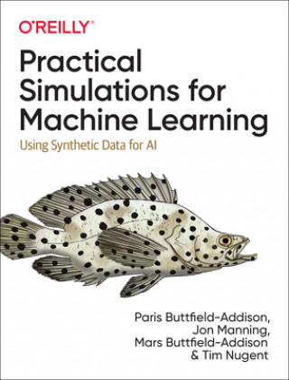 Könyv Practical Simulations for Machine Learning Jon Manning