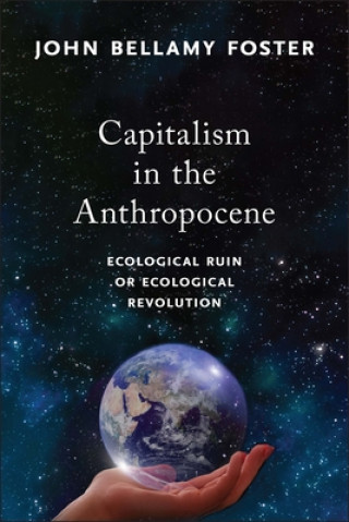 Kniha Capitalism in the Anthropocene 