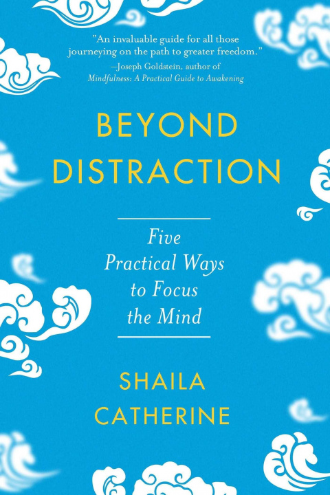 Kniha Beyond Distraction Shaila Catherine