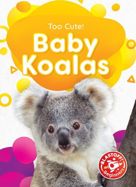 Knjiga Baby Koalas Rebecca Sabelko