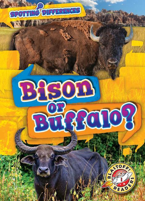 Knjiga Bison or Buffalo? Mari C. Schuh