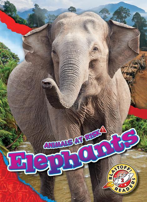 Knjiga Elephants Rachel Grack