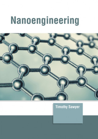 Knjiga Nanoengineering Timothy Sawyer