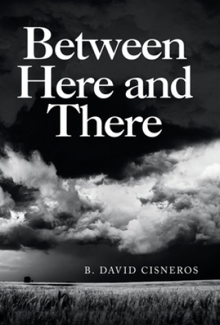Book Between Here and There B. David Cisneros