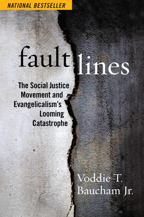 Книга Fault Lines 