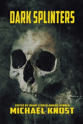 Buch Dark Splinters Michael Knost