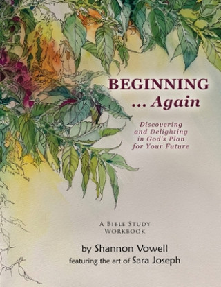 Knjiga BEGINNING... Again Sara Joseph
