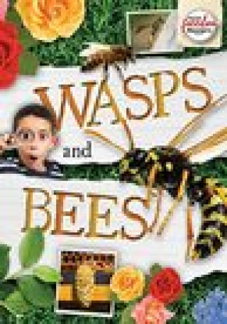 Knjiga Wasps and Bees William Anthony