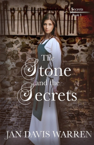 Boek Stone and the Secrets Jan Davis Warren