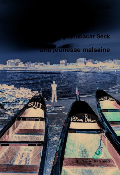 Knjiga Une jeunesse malsaine SECK