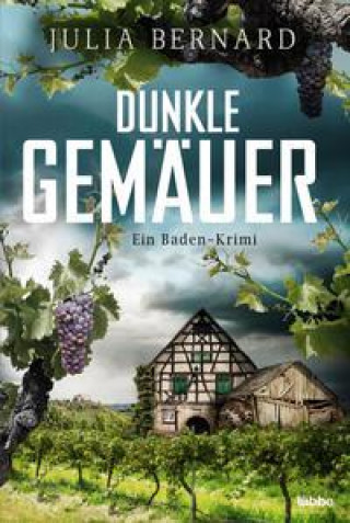 Knjiga Dunkle Gemäuer Julia Bernard