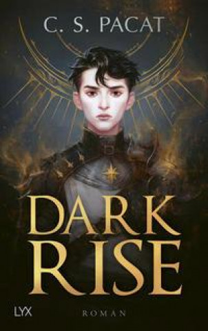 Kniha Dark Rise Anika Klüver