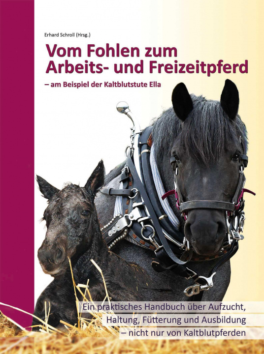 Knjiga Vom Fohlen zum Arbeits- und Freizeitpferd 