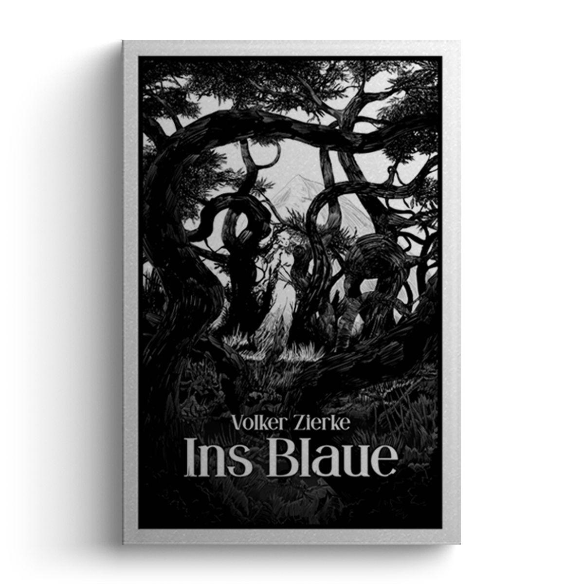 Knjiga Ins Blaue Volker Zierke