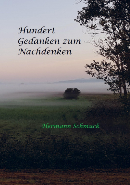 Knjiga Hundert Gedanken zum Nachdenken Hermann Schmuck