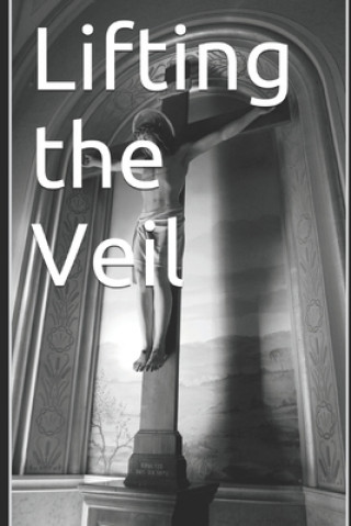 Knjiga Lifting The Veil Brady Teresa Brady