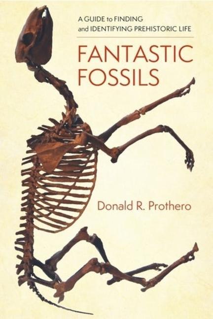 Knjiga Fantastic Fossils Donald R. Prothero
