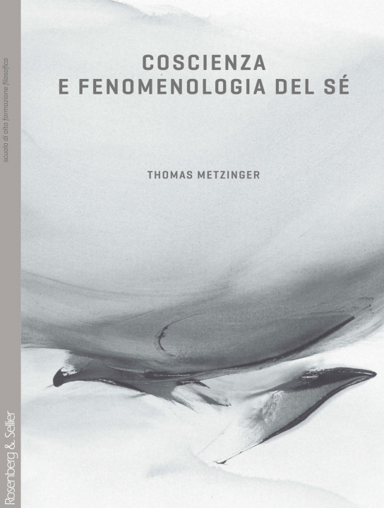 Buch Coscienza e fenomenologia del sé Thomas Metzinger