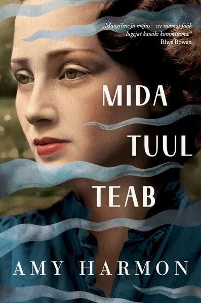 Boek Mida tuul teab Harmon Amy