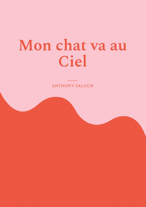 Knjiga Mon chat va au Ciel Salaün