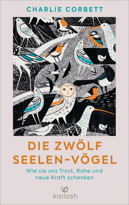 Kniha Die zwölf Seelen-Vögel Martin Bayer