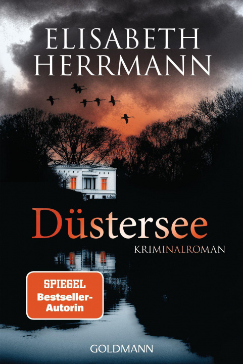 Knjiga Düstersee Elisabeth Herrmann