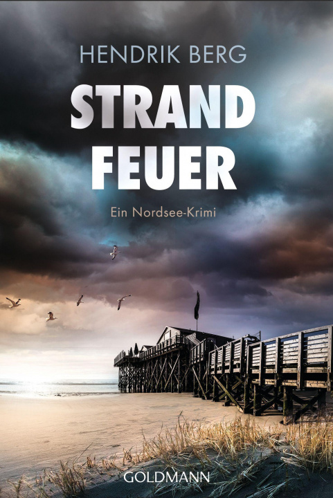 Book Strandfeuer Hendrik Berg