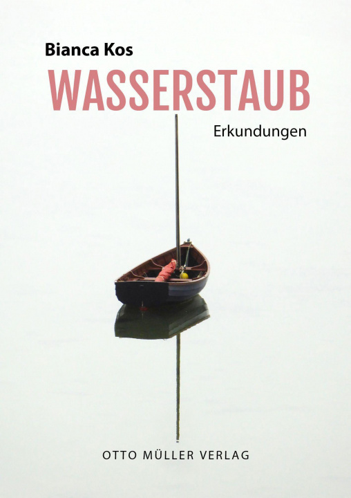 Kniha Wasserstaub 