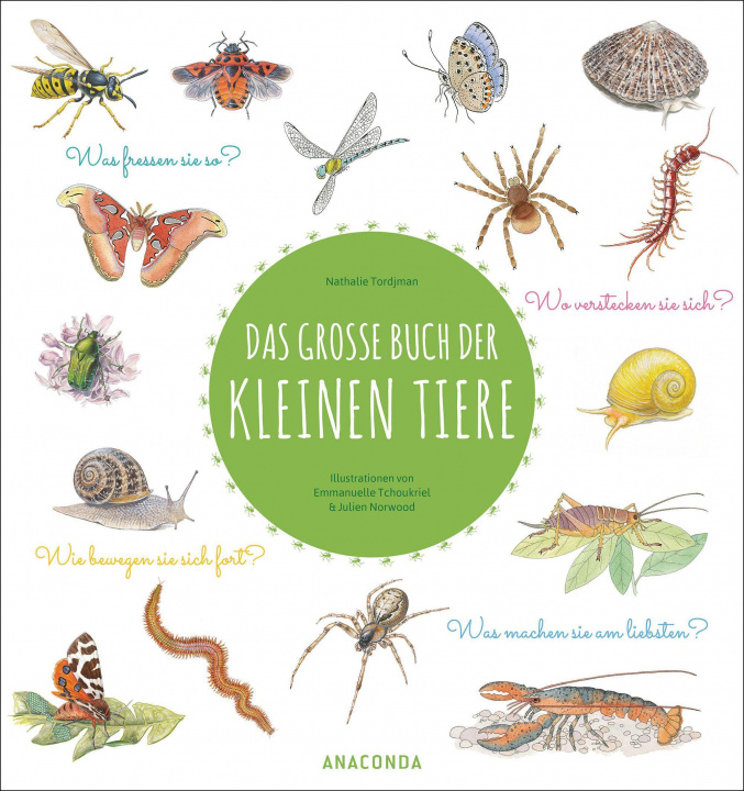 Könyv Das große Buch der kleinen Tiere Emmanuelle Tchoukriel