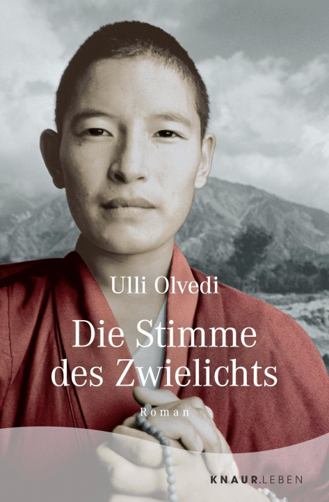 Knjiga Die Stimme des Zwielichts Ulli Olvedi
