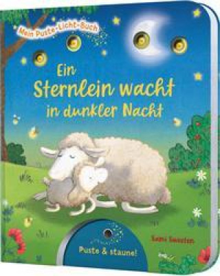 Kniha Mein Puste-Licht-Buch: Ein Sternlein wacht in dunkler Nacht Sami Sweeten